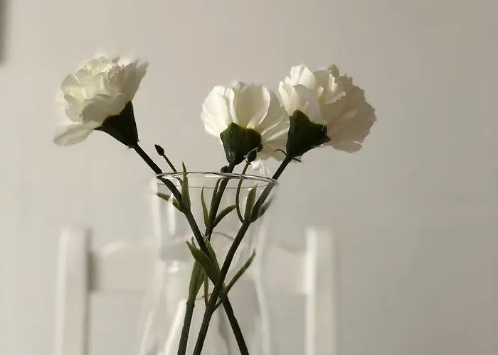 Ajabo Adeje דירה אדחה