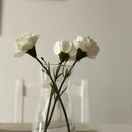 Ajabo Adeje דירה אדחה